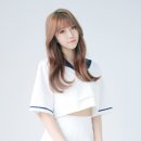 다원 티스토리