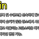렉스헤어라인 이미지