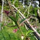 선아 농장 이미지