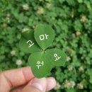 [손경제 시즌 3] 2016/07/09 중국 상하이 MWC/영화관은 팝콘을 팔아서 돈을 번다/벌금,범칙금,과태료/고속도로 통행료/전기료 이미지