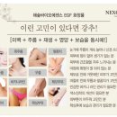 해숲 이미지