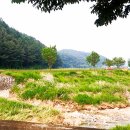 꽃골농장 이미지