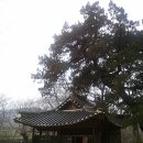 모고헌 | 영천...횡계서당. 모고헌. 옥간정