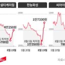 “나 웃고 있니?”...‘배터리 포비아’에도 표정 관리하는 소재·장비사 이미지