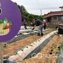 방식농장 이미지