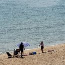 추암농장 이미지