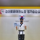 경이로운 태권도 이미지