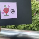 성일카 | 5월에뭘하고살았나上