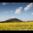 제주하늘바람 이미지