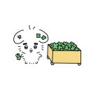 오토김밥 이미지