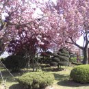 송림가든 이미지