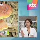 영지 Daum카페