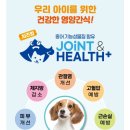 강아지 관절에 좋은 간식 영양제 추천, 홍선가 프리미엄 건강 간식 조인 앤 헬스 플러스 큐브 후기