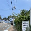 여수국가대표패러글라이딩 | 여수 여행 놀거리 추천 국가대표 패러글라이딩 후기