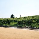 티스테이션 다산점 이미지