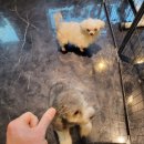 더핏짐PT 네이버블로그