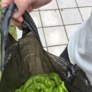 대야1로23번길 | 군포 아이와 가볼만한곳 대야물말끔터 무료 실내놀이터 &amp; 스마트팜 체험 후기