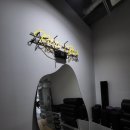 화이트짐 영천점 이미지