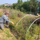 (주)레몬12 Daum카페