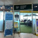 다누비 열차 | 부산 태종대 다누비 열차 탑승 후기