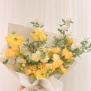 프리지아 이미지