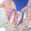 주동농장 이미지