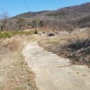 강화중성 이미지