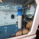 온다ONDA, 동해 이미지