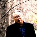 애모 -위일청곡 (일산 농협 하나로 마트옆 촬영) 이미지