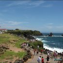 섭지코지 이미지