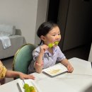 개 좋은 세상 | 달콤폭발! 샤인머스캣 과즙세상 선물용과일 생생후기