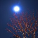 달 - 송파구 | 달