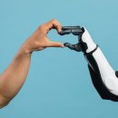 CW-1240-01 이미지