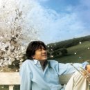 꽃피는봄이오면 이미지