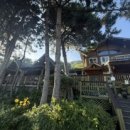 통나무펜션다오레민박 이미지