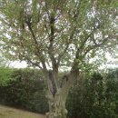 국가정원(동문) 이미지