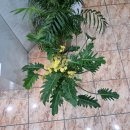 불광동성당 성경필사 (2025.11.12.No.31)창세기(25장1~18절)＜크투라에게서 얻은 아브라함의 자손＞＜이스마엘의 족보＞ 이미지