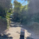 의귀리 | 제주 해비치컨트리클럽 근처 식당 추천 "의귀리부부막국수" 내돈내산 리뷰, 현지인 맛집