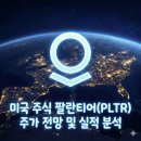 게이트맨미래테크LOCK | 미국 주식 팔란티어(PLTR) 주가 전망 및 실적 분석