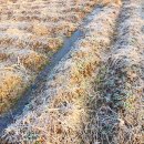 온동농장 이미지