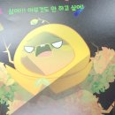 비타민박사 이미지