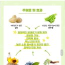 이츠펫양주점