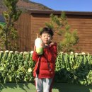 에코새싹유치원 이미지