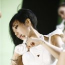 로티플헤어 이미지