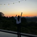 대구 부산 근교 풀빌라 추천 :: 청도 신상 숙소 라라랜드 펜션 H동 후기