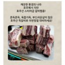 제이에이치(J.H) 네이버블로그