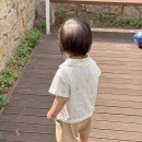 몰골지 | 모이몰른 장마에도 쾌적한 쿨에버 소재로 더 시원하게! (리에토쿨에버카라티셔츠/폴6부골지팬츠)