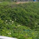 황실모텔 - 논산시 계백로 951-3 | 황실모텔