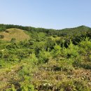 철원농장 이미지