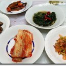 일차횟집 Daum카페